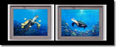 Original marine life paintings